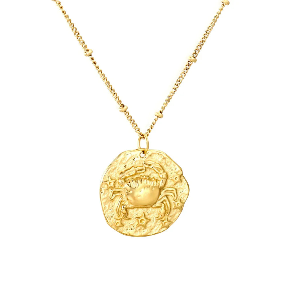 Collar Signo Zodiacal Solar Waterproof