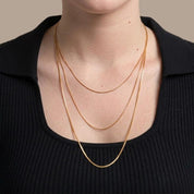 Collar Triple Aurora Waterproof