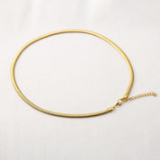 Collar Snake Oval Waterproof - Joya en acero inoxidable enchapado en oro 18k - D'Merys